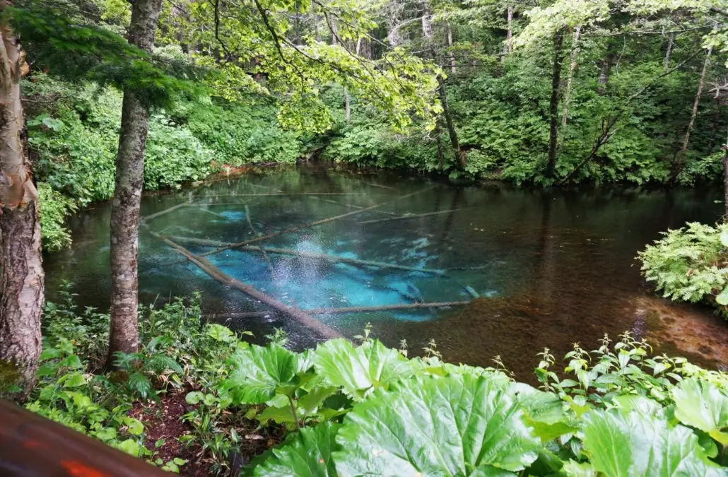 Hidden gems in Hokkaido